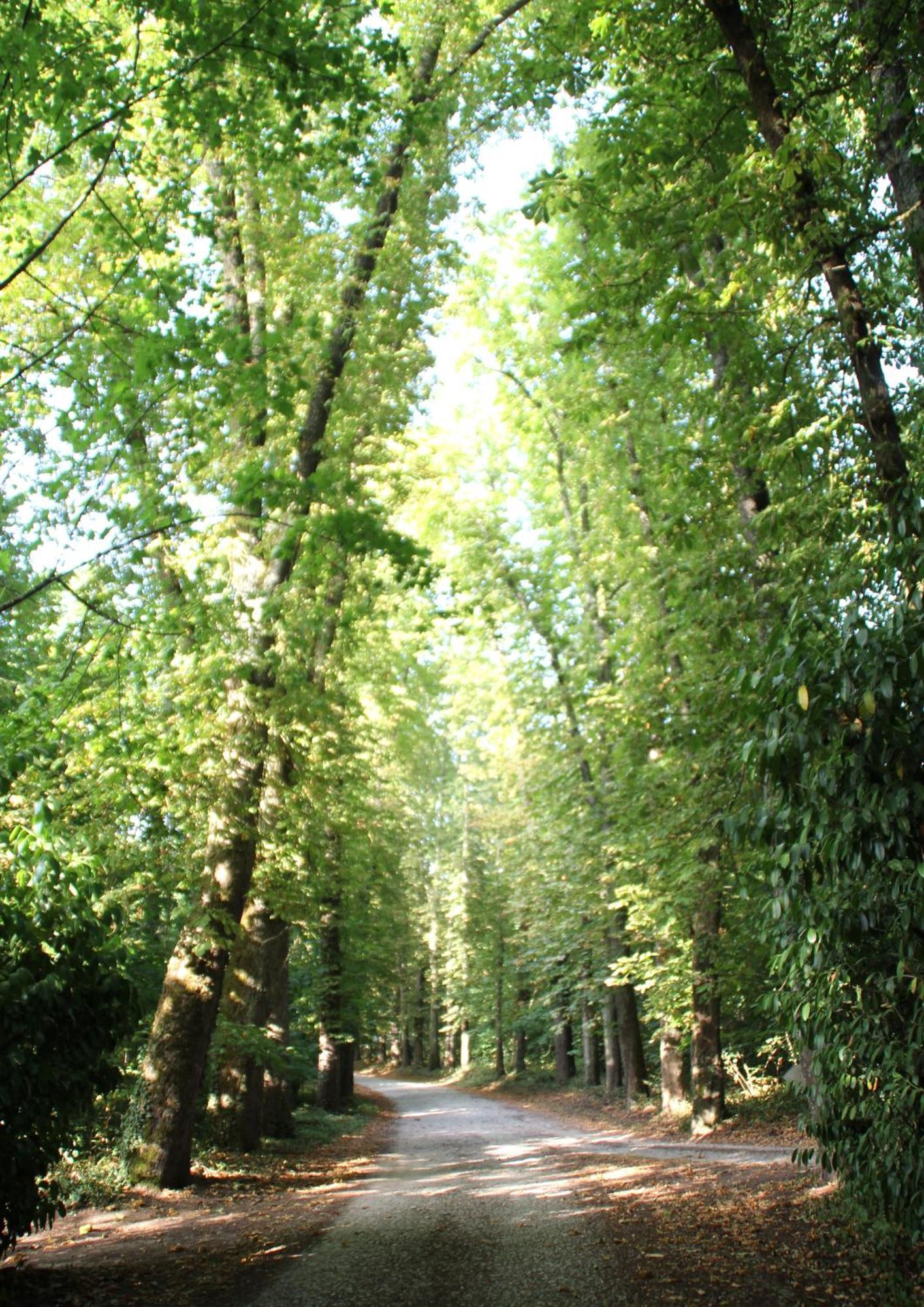 Le Perche, 4 Personnes Saint-Gervais-la-Forêt